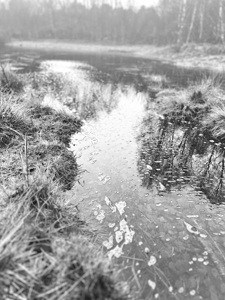 Scenes From the Trail- Calm Waters of the Scottish Highlands